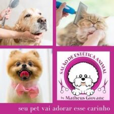Salão Estética Animal Matheus Giovane